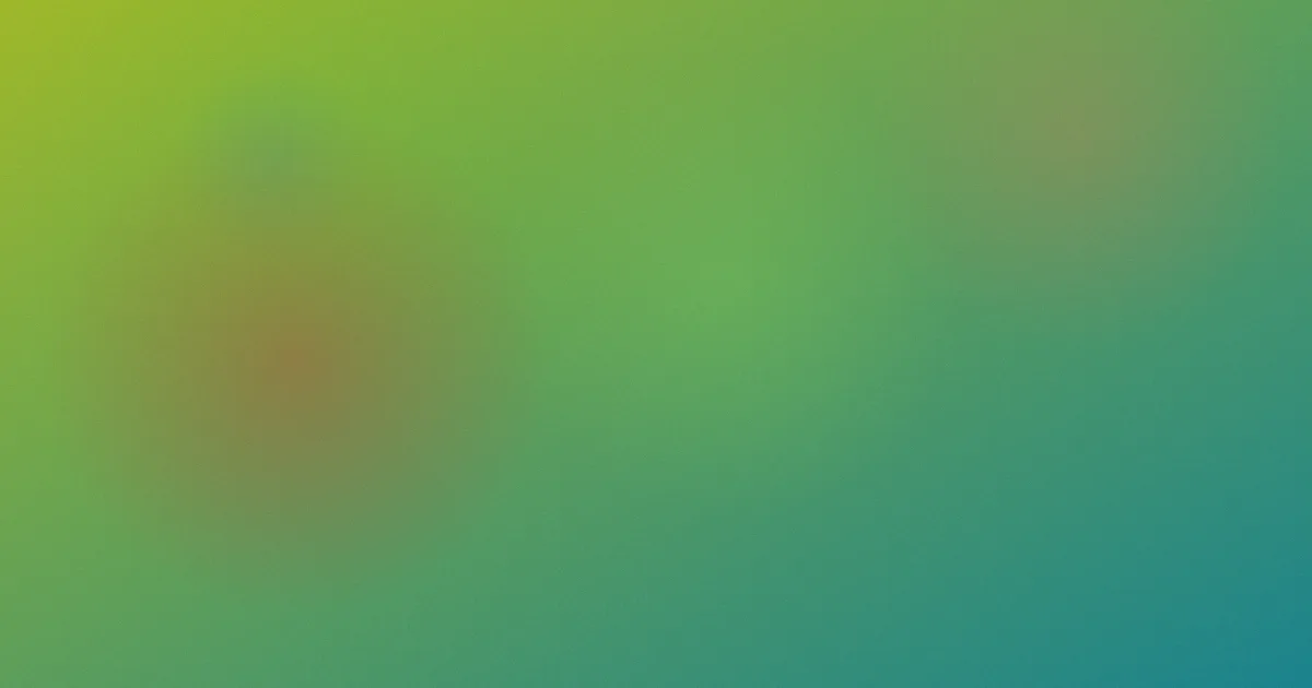 李婉华是什么：一篇讲清